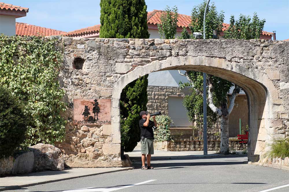 La Selva del Campo o La Selva del Camp